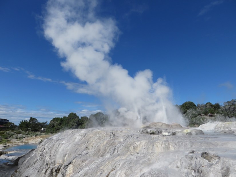 B4A04F58-4AB5-4B92-B6D7-8C4E3AD25A3E