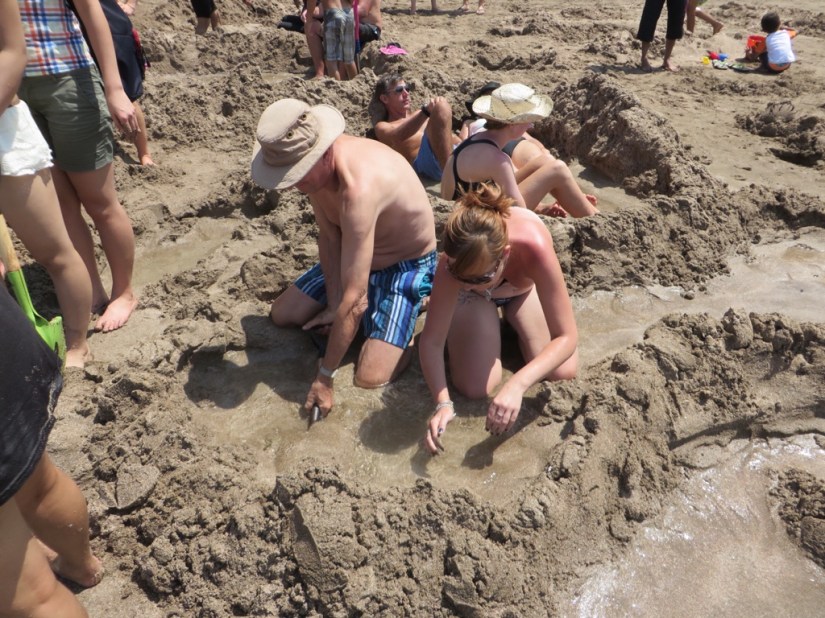 C55DD12E-13C1-40C0-A38B-0DEBB87010A1