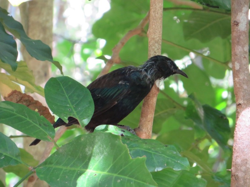 D3D9420E-B352-489D-9D0D-B771D1D5002D