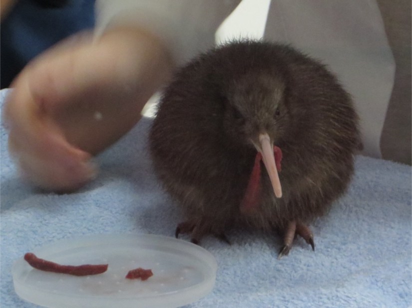 D887E237-F9B8-424B-A67E-00BD30746521