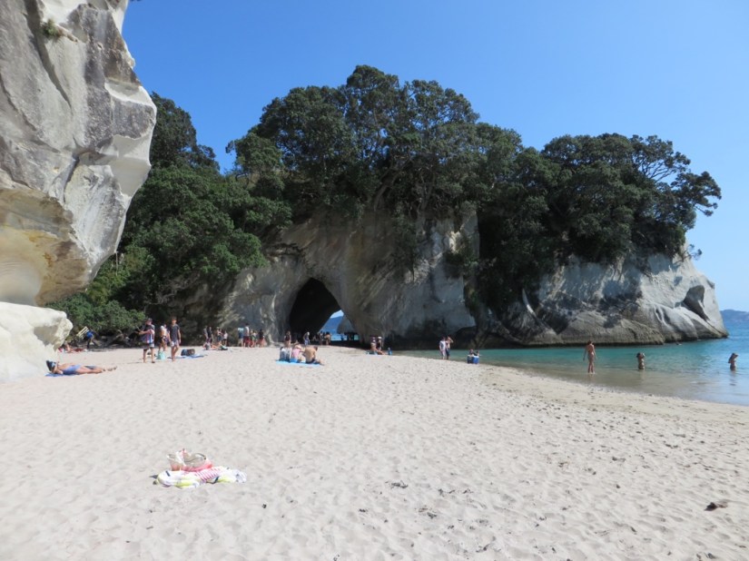 DA9EC336-E253-4259-B7D0-FB746B793D6C