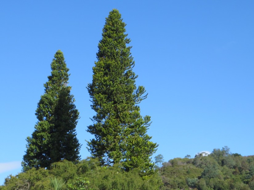 E5031BBE-6241-4EED-9ED7-A048C734C4A1