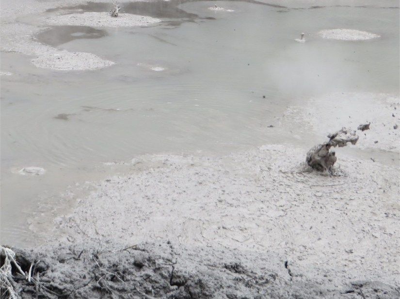 E6B5F35D-300E-440E-9465-CD50FB05EFCB