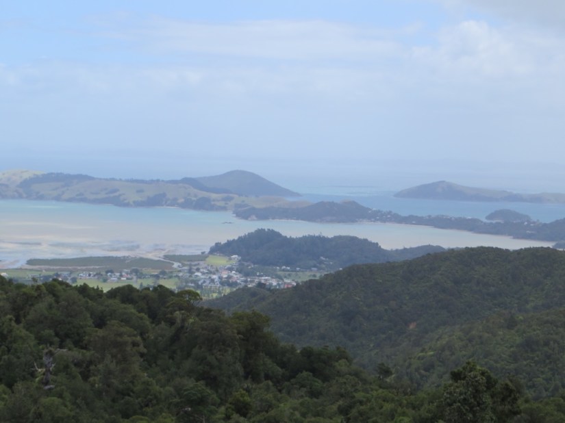 E7175C7C-8FD5-4D95-9ADE-56FA450303FC