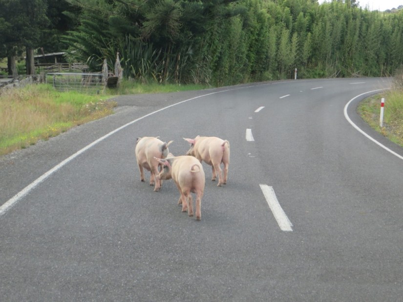 E7A86C01-0277-44F2-B531-04745BE53624