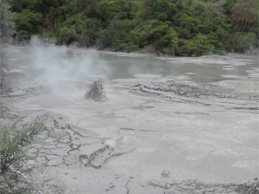 F275CF4D-6D6B-4A71-BAFF-302CB74CAB6E