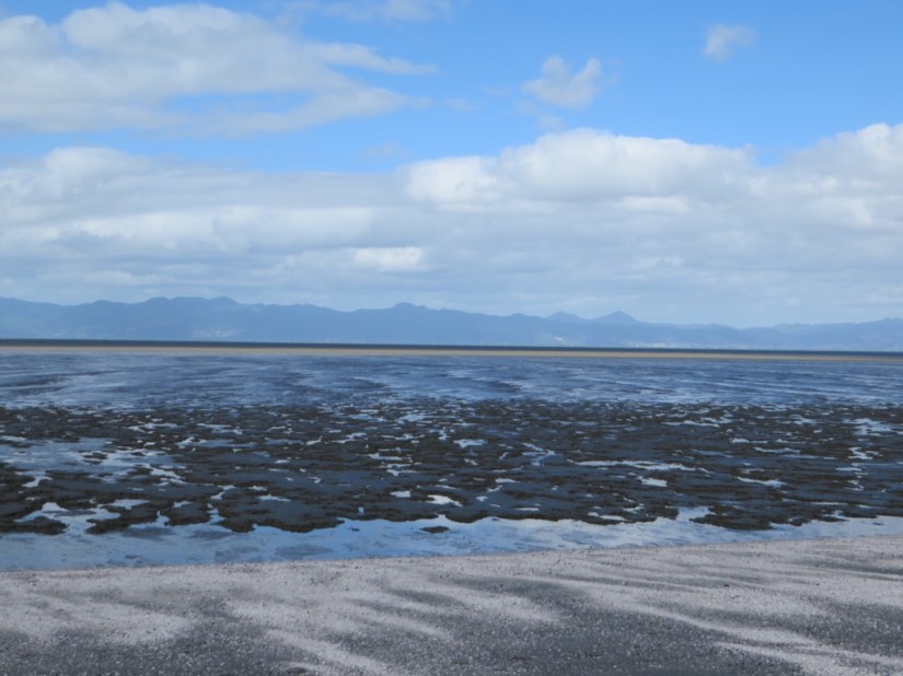 F727429C-4D82-40E4-96AA-012863143907