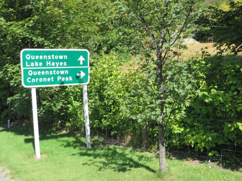 065B717B-D4D3-4EB2-B821-EA097021D80B