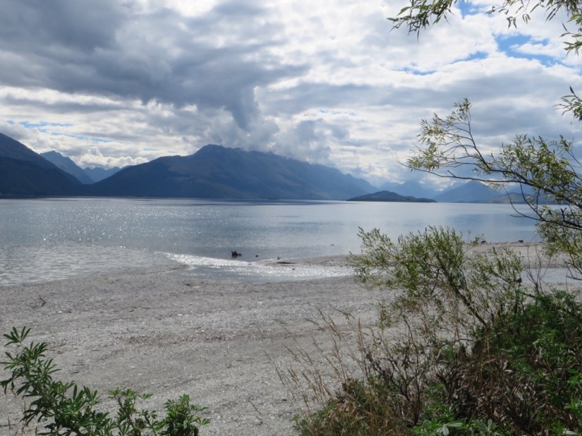 10AC7B1C-5571-49C5-BB01-4BA81F719BFD