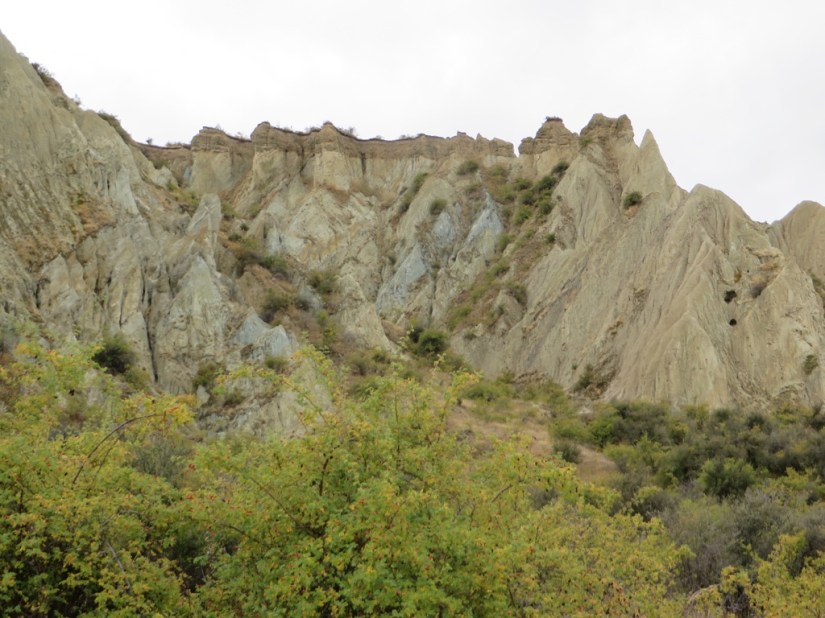 2D4831ED-06DF-4836-84A9-DBA3054AC70B