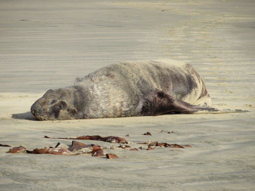 33CB4802-8EA2-4375-A140-03579B3CE4AA