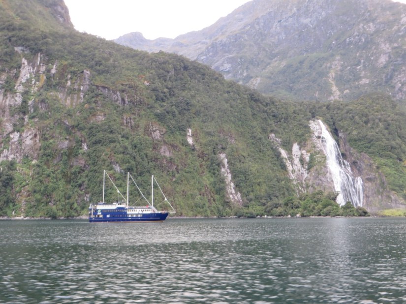 368A1234-01D5-4FE9-8014-0E95B2AB3DD5