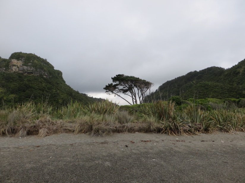 3F20F64C-8B0B-4CA6-9546-2BE8EDEE0461