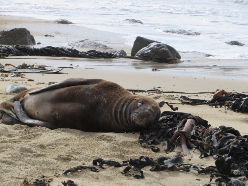 4AB255C0-988A-4D97-A444-FD4335E36945