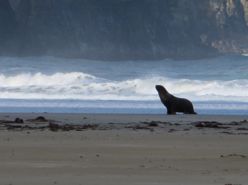 4C3BFBFC-F51F-4248-96CF-B91F1FEC1E0C