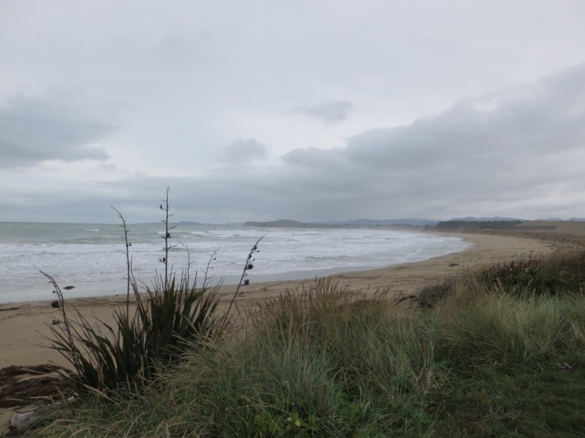 514EAA99-A907-455E-B504-3D8025517603