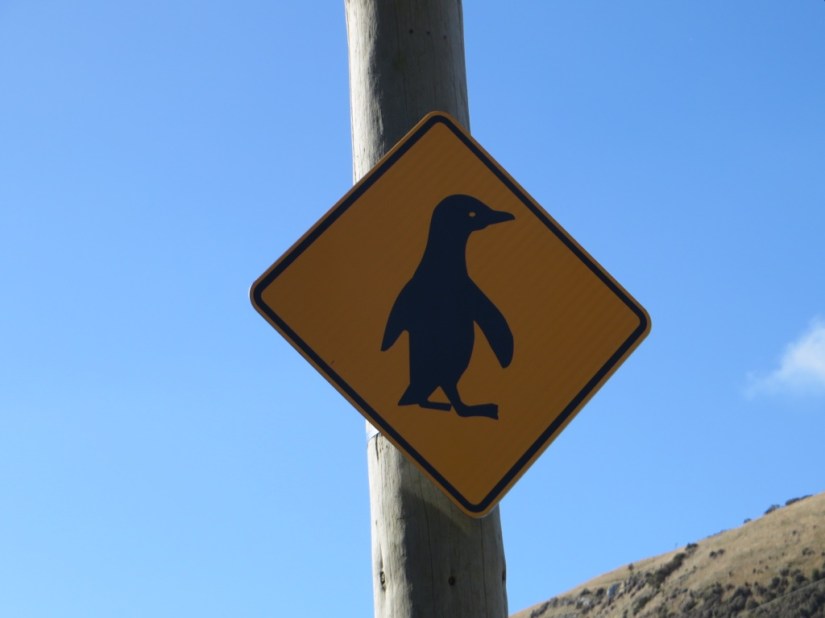 54D2D2C6-07DE-4803-A0C2-FEFEDB5FBB4F