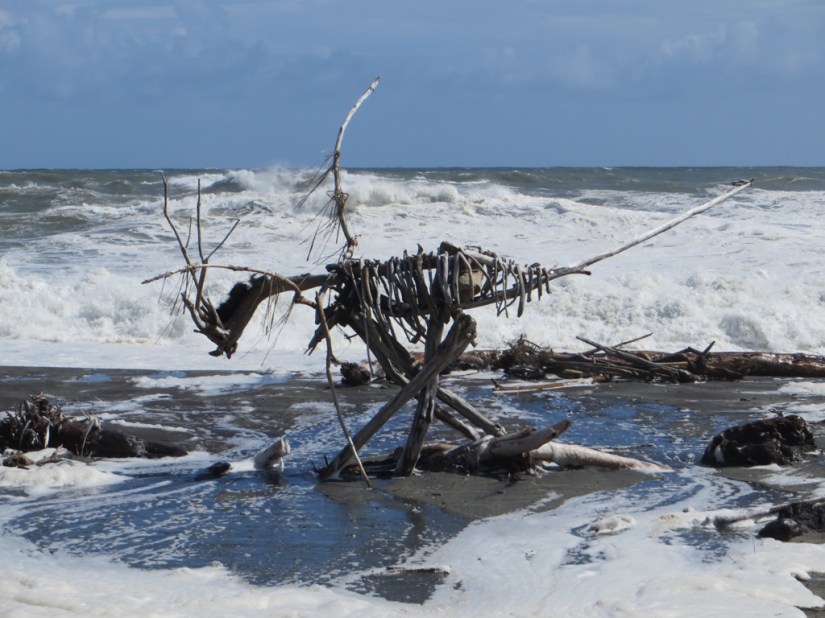 55F6102D-C4F1-48E7-8D89-8DD6ECAF427A