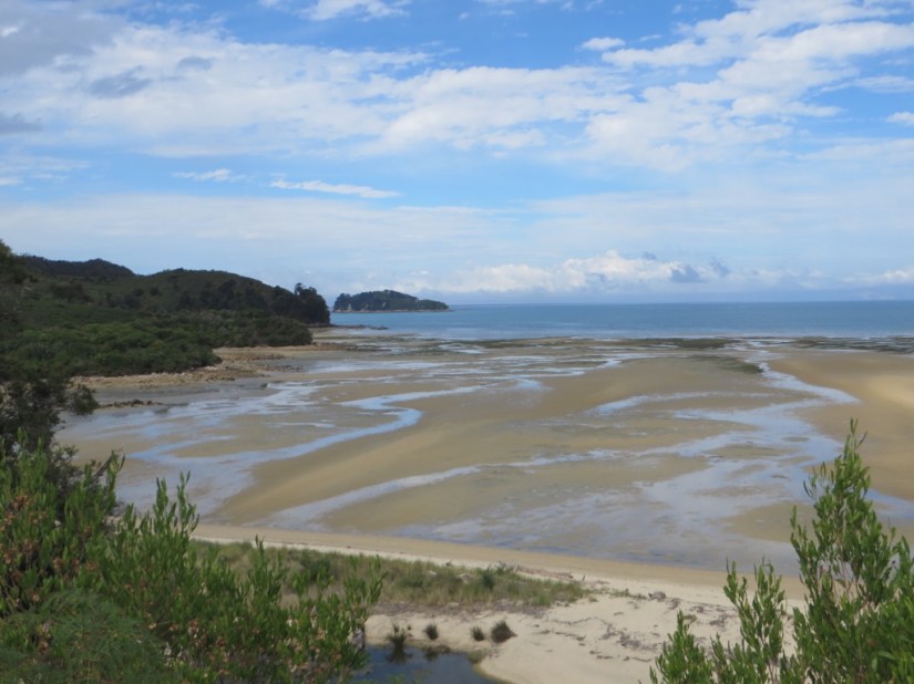 6077ACCF-C3C0-458B-9C14-DEE8385970F8