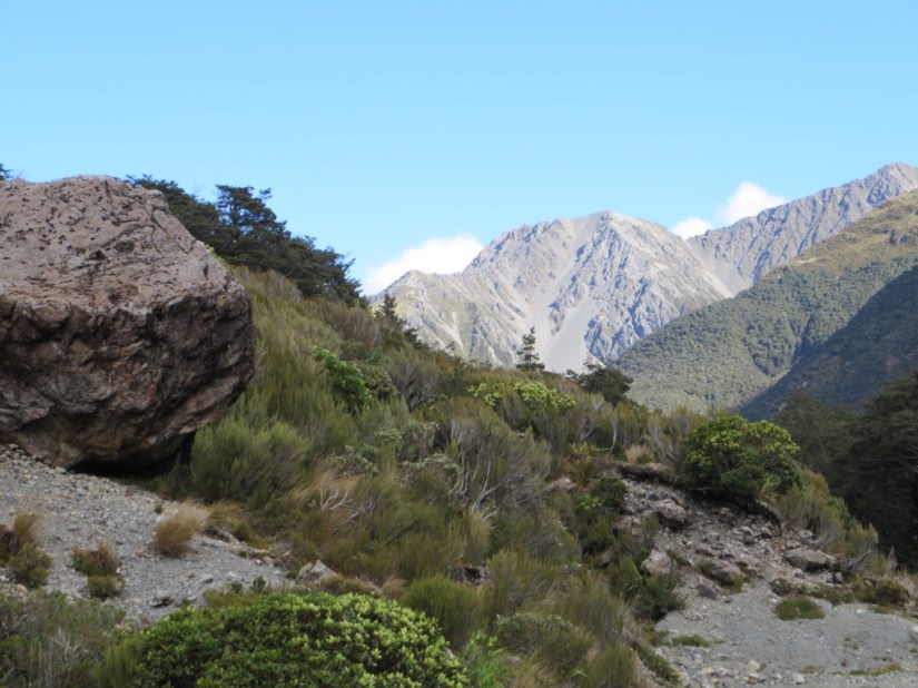 6534BD84-7F23-4B57-8895-2AF08139442A