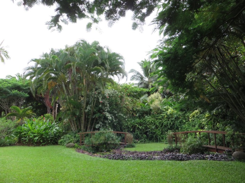 690F20CA-0149-46D2-AB8D-288A4EDEBF8E