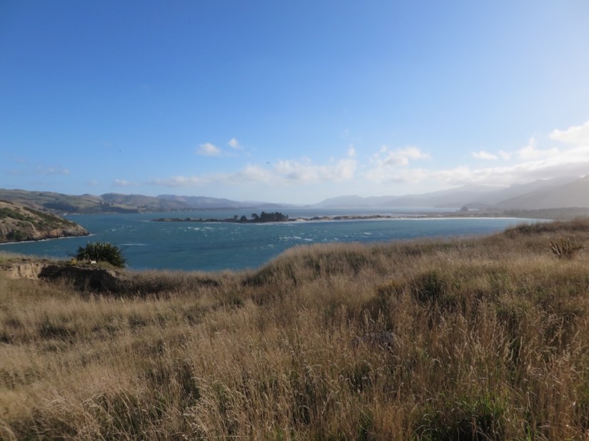 709FB788-00A0-47FC-8910-9CC9F0F85F69