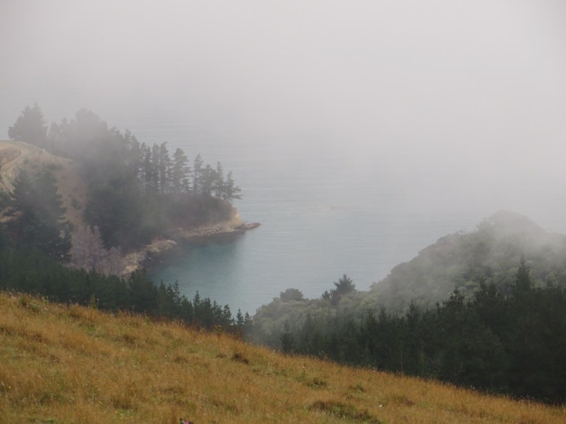 747999F7-0842-438D-82C4-E90D517402A4