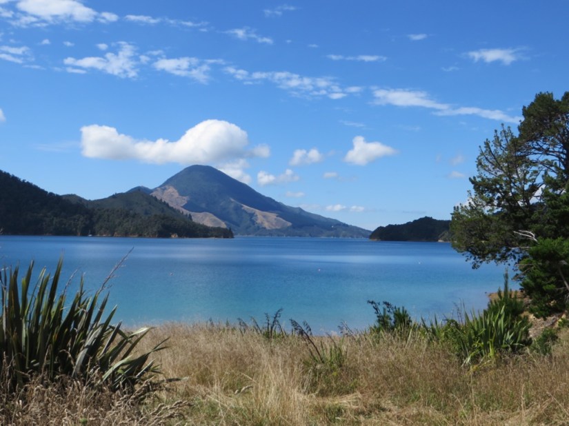 74ABC118-080A-437B-A9DC-74610162F6BC