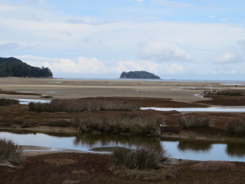 81E9388E-E71E-4713-9921-A6DD5CB60E3C