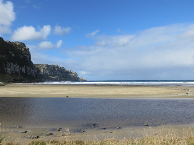 91CC48E6-9B43-485F-B313-779C7649EF39