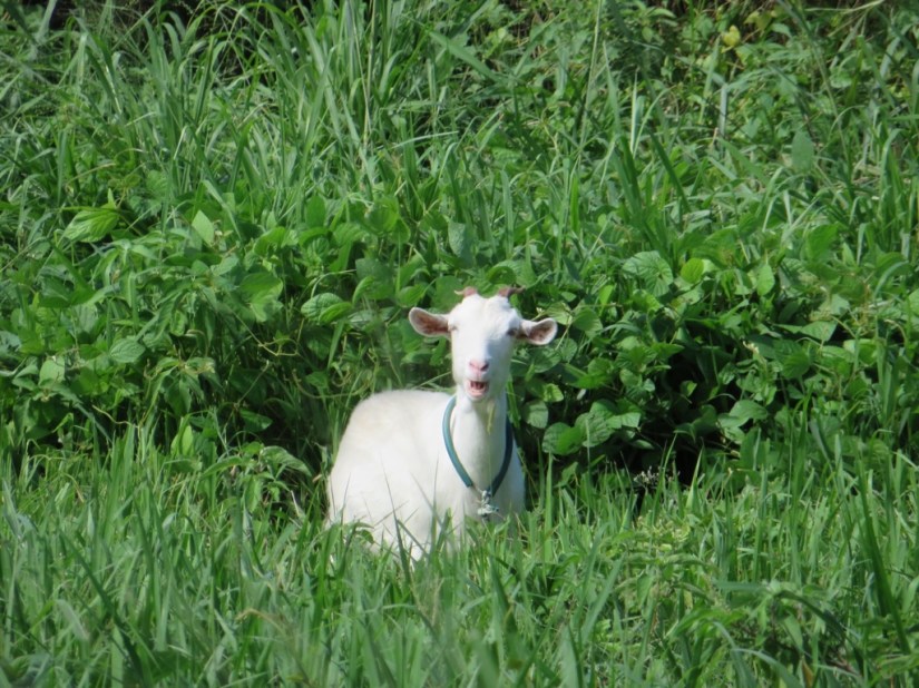 94FE3039-0470-4440-BCC1-C664D3863D1F