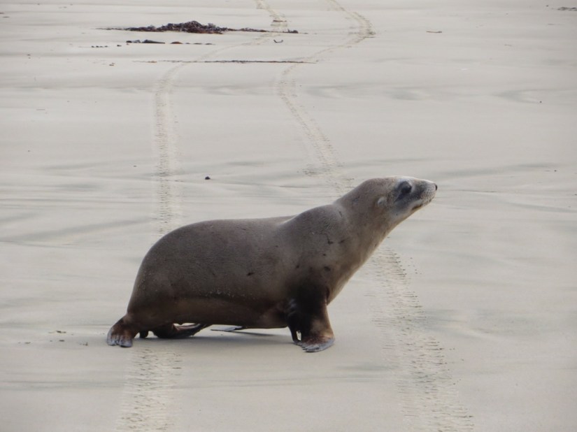 95039BFC-821E-4659-8746-9002E691C48F