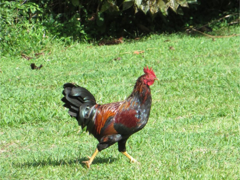 976F2833-BEDB-4663-82FC-86D49ADBBB5C