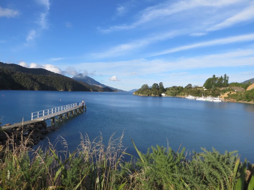 9E6256FA-AE95-463A-A78D-6207F39733BC