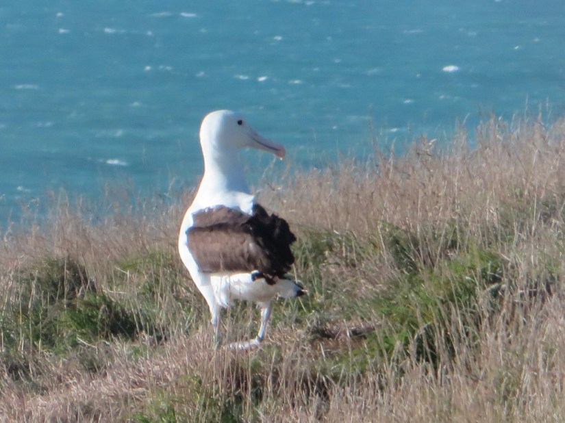 A3DBE56E-9595-4543-9210-160B93AA2B0E