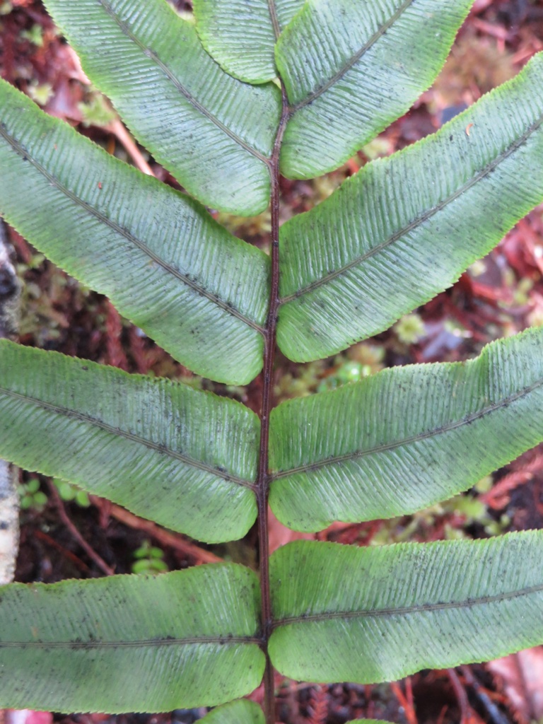 A78E7B01-A5E6-472B-80BF-19614CF0AC86