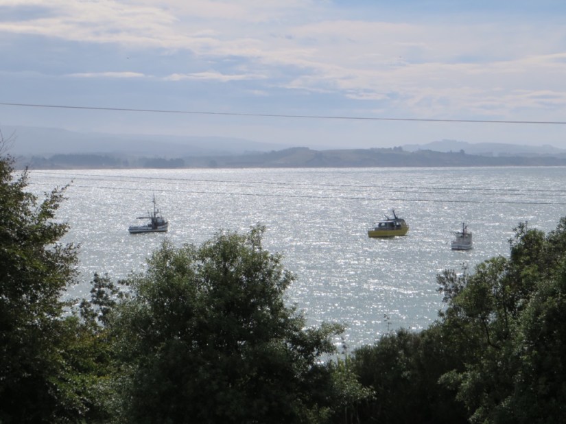 A9AB925F-8C29-4941-91D3-D825D9D0A8E5