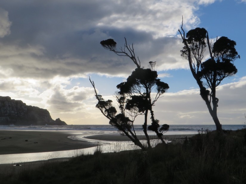 AFD3AEA7-E166-4709-AC47-83D65E67FE3D