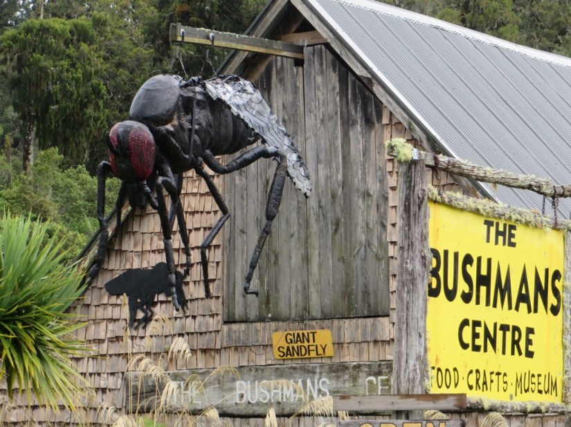 B0187818-35DD-4473-B0A7-825EF59B313B