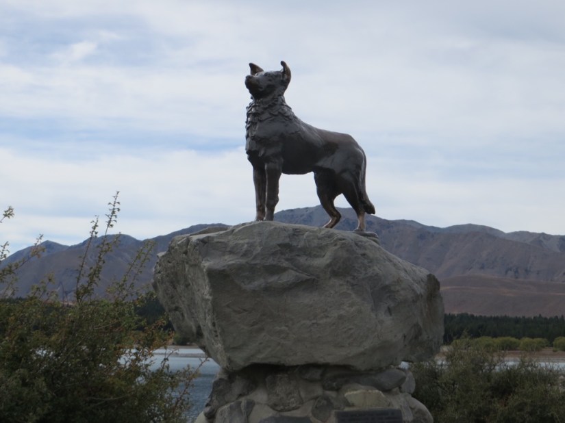 B177D68D-7B75-47A4-A018-BB2F8C69C08E