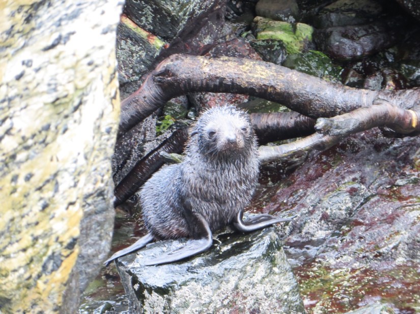 B970EAC0-34AA-4EBC-B3BD-389920A6D51E