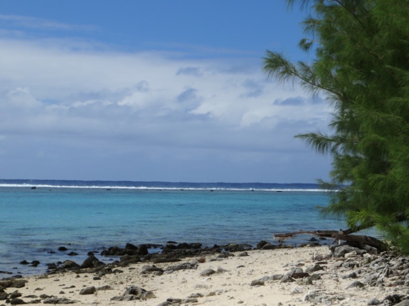 BD0EB011-A773-4032-AF73-34DACA56C7DA