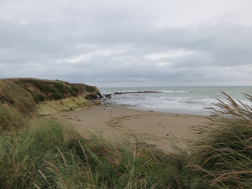 BD6EAFA5-3EF0-4915-816B-632B3292A7E0