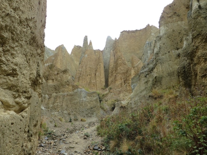 C7F2747D-5DC4-4C0C-B3A9-34A46B18B173