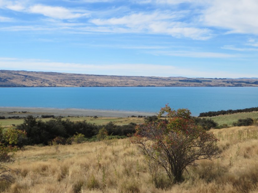 CAE42F0C-1EB1-4076-842B-C12ED6C95021