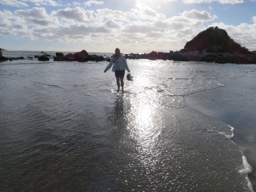 CC28C160-D9E2-4B96-B5BF-47AEE3E850F8