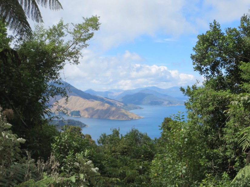 CFF3FCD3-F0DD-4CFA-B75D-A54BF73E60A2