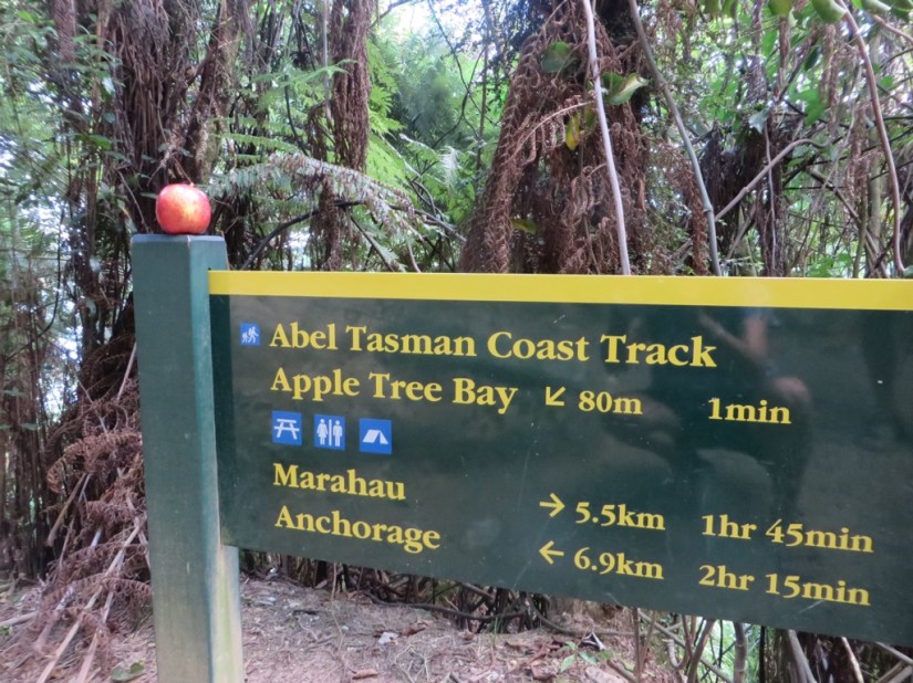 D39CE750-0F68-4096-9B28-B361F6D7B6E7