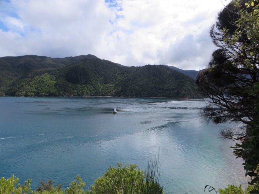 DEBA7226-26E4-46EA-AB79-C0A2C41FC965