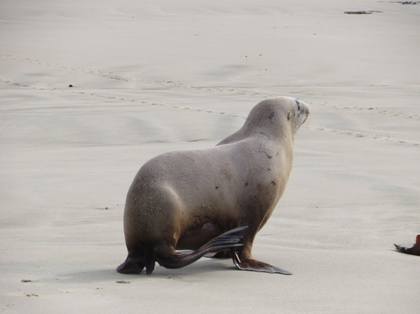 DEE5B14C-F5E6-4D83-9190-E4877C7F332E